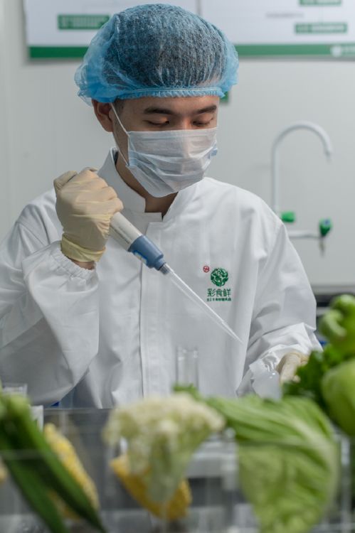 福建彩食鮮獲評2022年全國供應(yīng)鏈創(chuàng)新與示范企業(yè) 打造供應(yīng)鏈標(biāo)桿，賦能餐飲配送服務(wù)